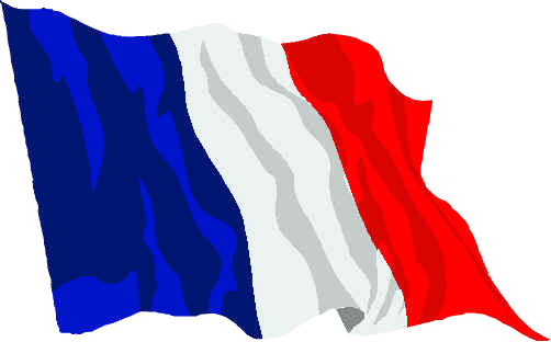 Us Flag French Flag - French Flag Animated Gif (502x312)