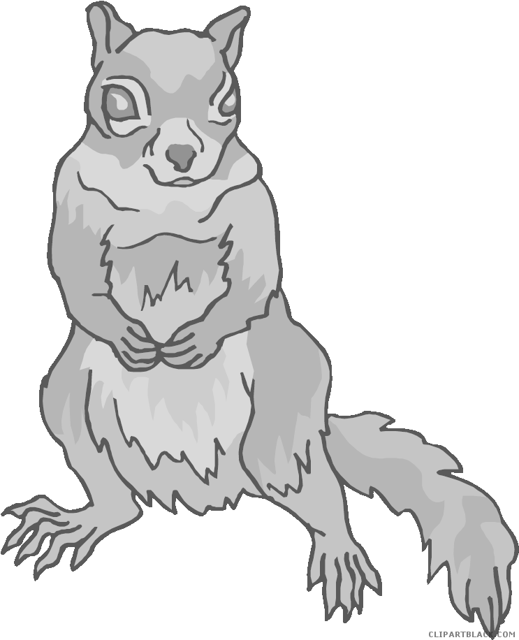Squirrel Animal Free Black White Clipart Images Clipartblack - Clip Art (750x922)