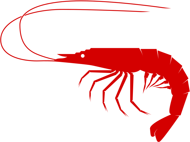 Shrimp Clipart Free Free Shrimp Cliparts Download Free - Sea Food Clip Art (800x566)