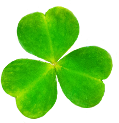 Heart Of Shamrock, Leaf Of Shamrock For St - Shamrock (413x419)