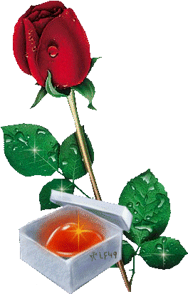 Explore Rose Quotes, Happy Valentines Day And More - Una Rosa Per Il Compleanno (286x429)