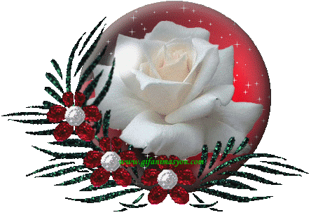 Romantik Resimler, Smileyler, Gifler, Gül Resimleri, - Rose (444x307)