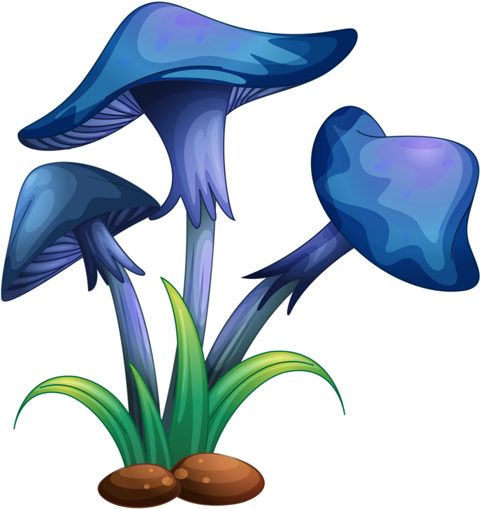 ○••°‿✿⁀shrooms‿✿⁀°••○ - Different Types Of Plants (747x800)