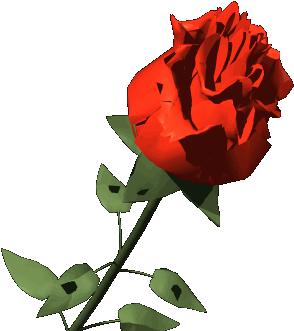 Festa Della Donna Gif (364x364)