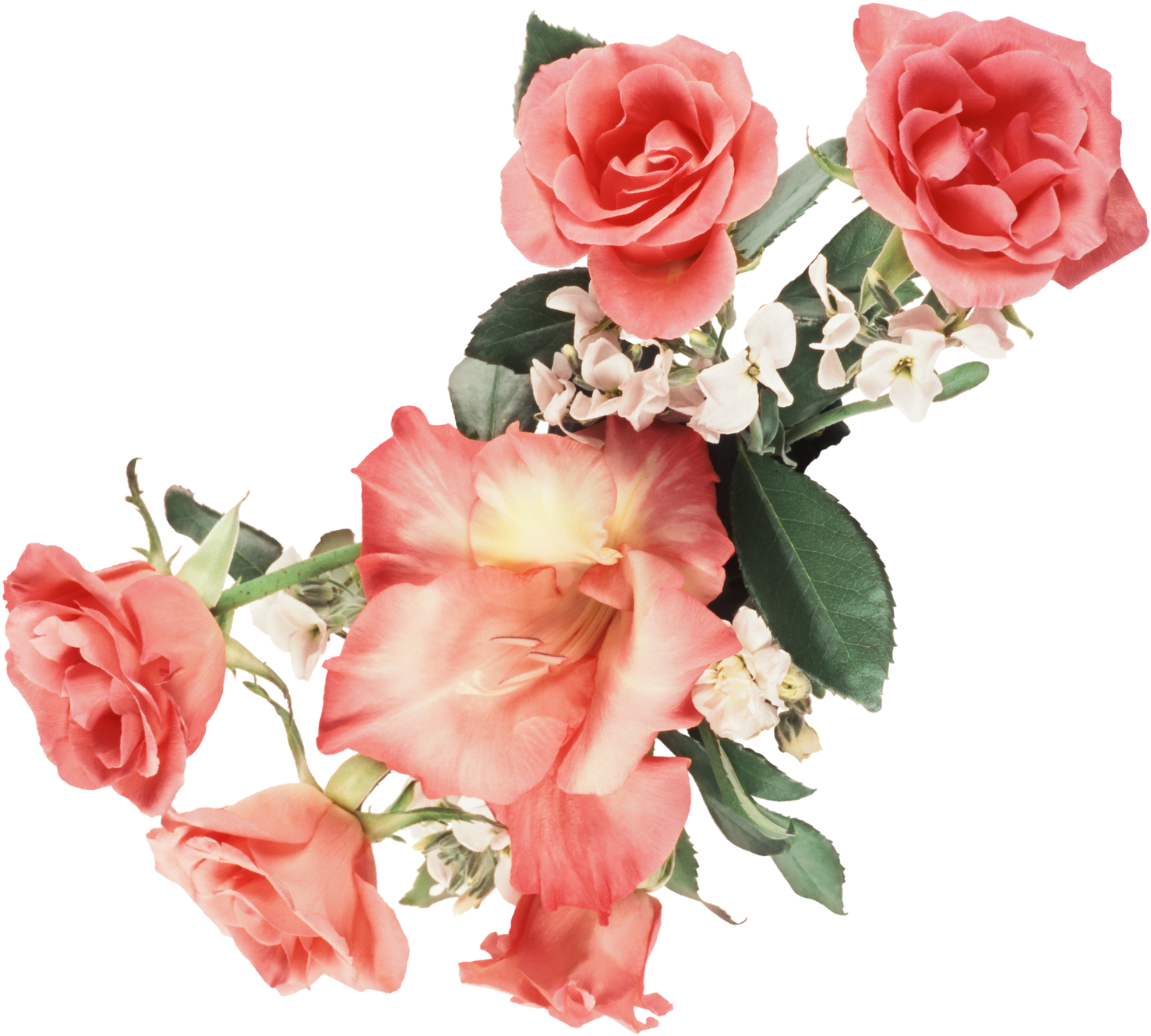 Flower Animation Desktop Wallpaper - John Masters Organics - Organic Roll-on Fragrance Sparkling (1600x1600)