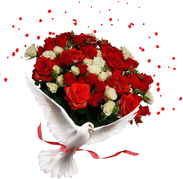 Flores Y Paisajes Encontradas E La Web - Gif (593x577)