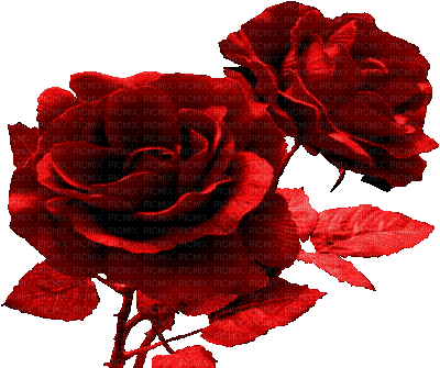 Fle Fleur Rose Rouge Deco Glitter Gif Image - So Sweet Of You (400x335)