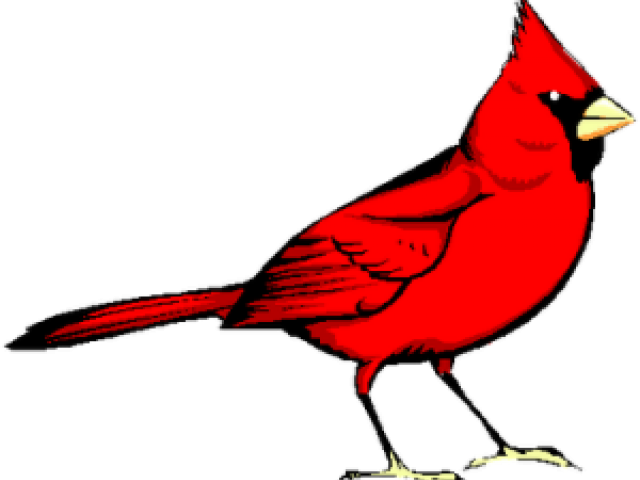Cardinal Clipart Virginia - Clip Art Cardinal (640x480)