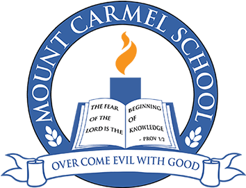 Mount Carmel School Dwarka Delhi - Mount Carmel School Dwarka Logo (496x300)