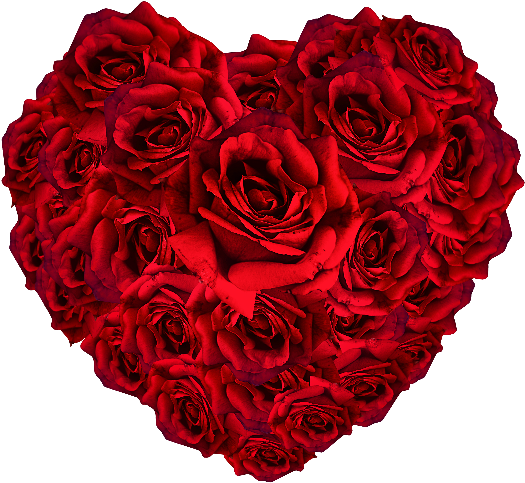 Red Roses Heart Png - Red Roses Transparent Png (800x600)