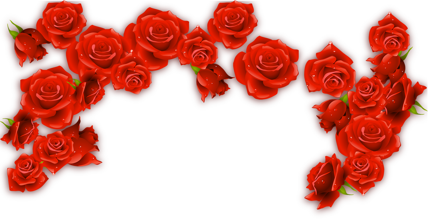 Red Wine Rosxe9 Rose - Red Roses Border Png (1500x767)