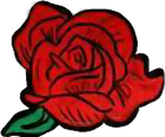 Aesthetic Clipart Rose - Garden Roses (556x464)