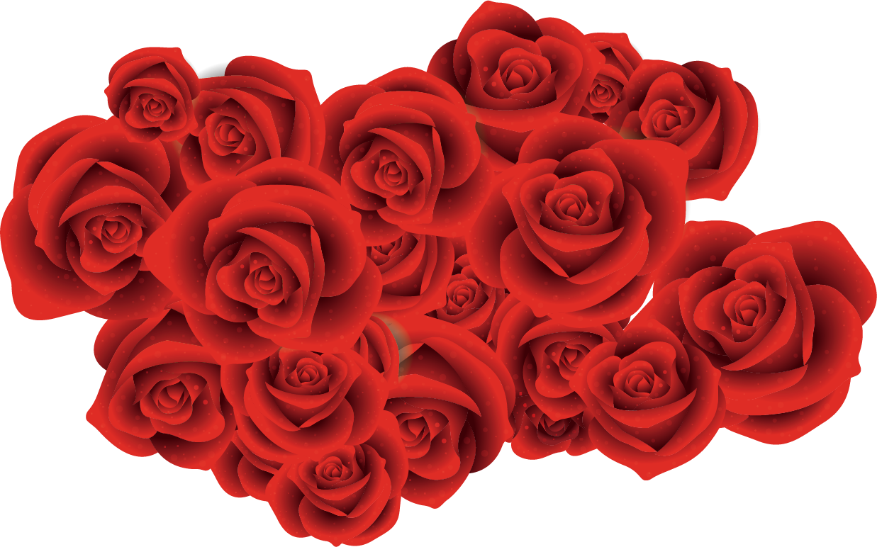 Garden Roses Beach Rose Red Flower - Corcega Spray Rose (1237x772)