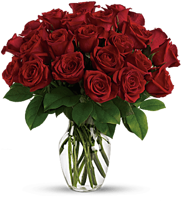 Love And Romance - Flowers For Valentine Day (368x460)
