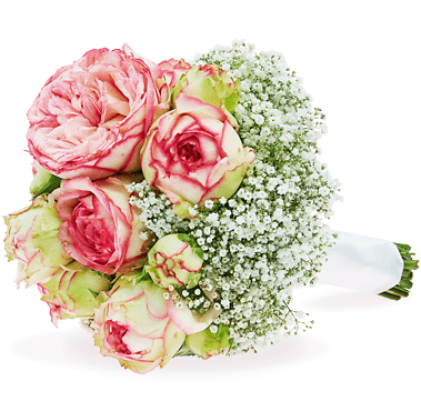 Everlasting Romance - Romance (410x410)