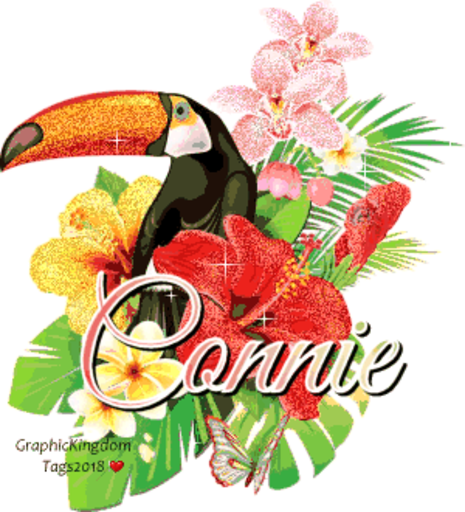 Jungle Flowers Illustration (465x512)
