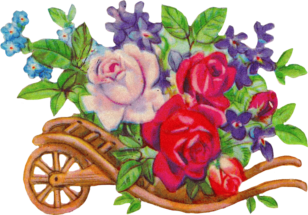 Køb Stock Fotos Af - Forårsblomster Clipart (1058x764)