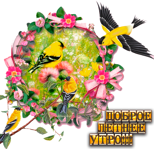 Ваши Мысли В Картинке - Mary Stayed Out All Night (500x482)