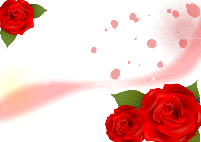 Garden Roses Beach Rose Red - Garden Roses (650x459)