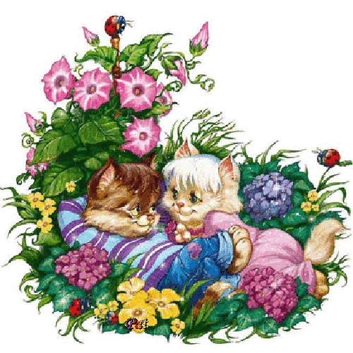 5qmpdezhh5el - Geniet Jou Dinsdag (499x484)