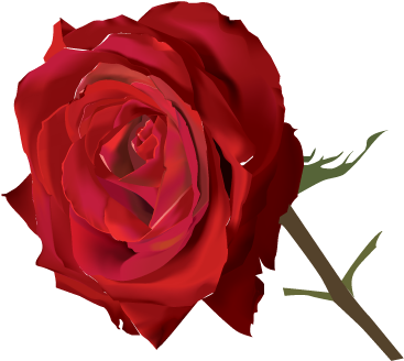 India Krishna Hinduism Sticker - Red Rose Vector Png (500x500)