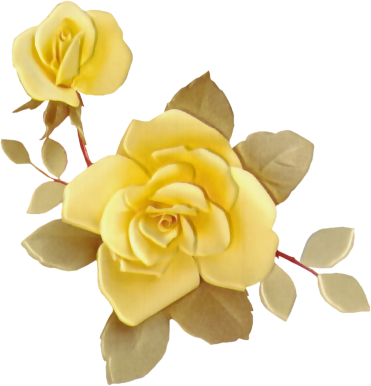 Rose - Garden Roses (1188x1235)