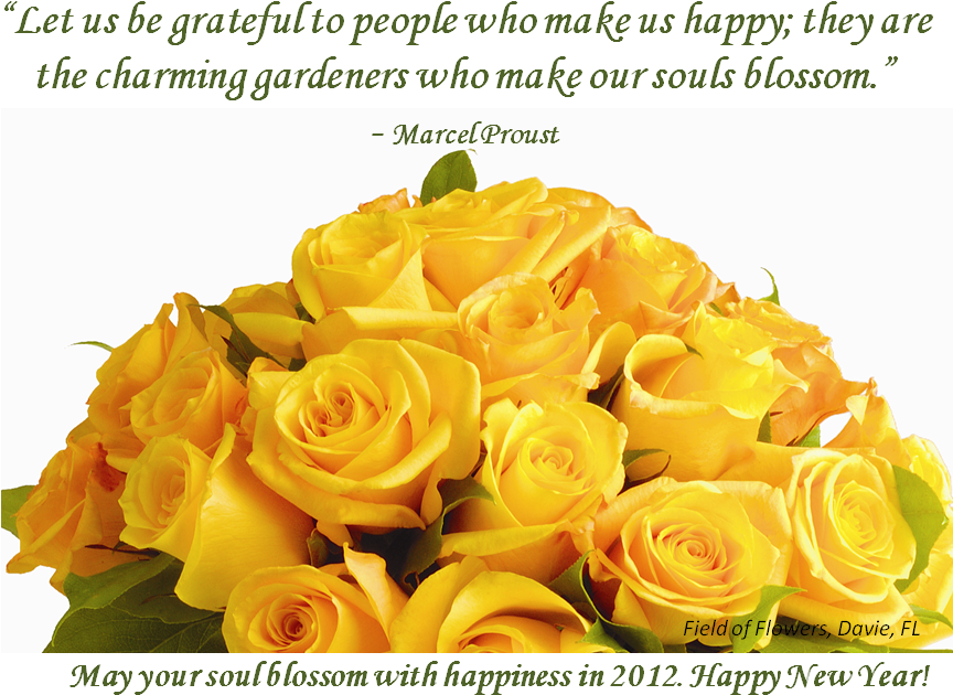 Flower New Year Quotes Merry Christmas And Happy New - Thanks For Flower Quotes (927x661)