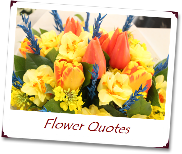 Germanys Next Topmodel 2012 (613x524)