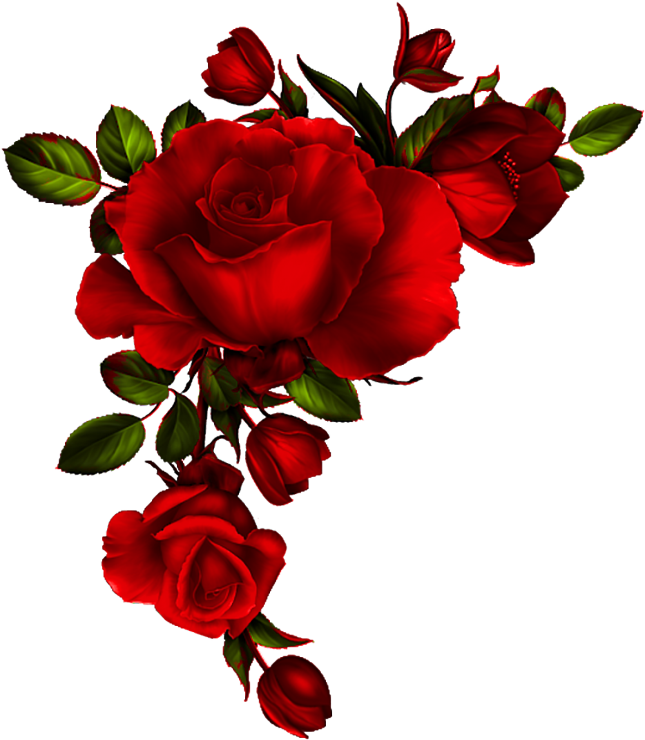 Yükle Red Rose Petals Vector Material, Background, - Rose Corner Border Png (945x1080)