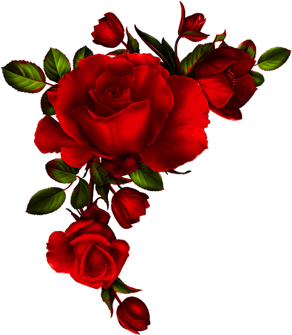 Yükle Red Rose Petals Vector Material, Background, - Rose Corner Border