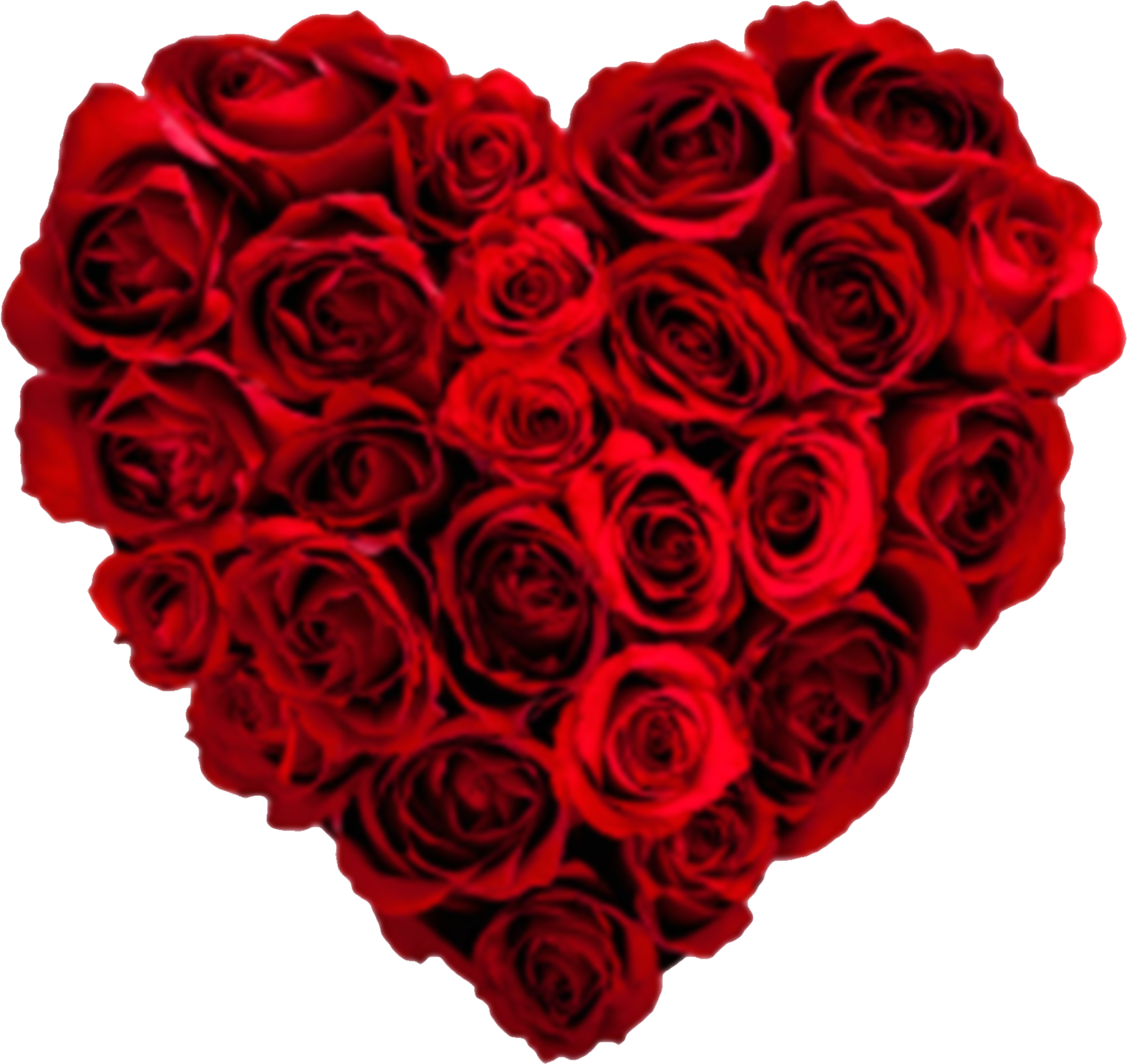 Buxton Spa Aromatics - Happy Valentines Day Flowers (1574x1485)