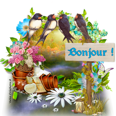 Coucou Salut Bonjour - Zwaluwen (400x400)