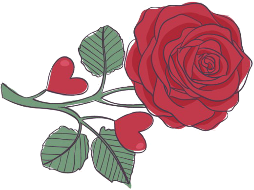 Wedding Videographer In Columbia Sc, Camden, Aiken, - Cafepress Drawing Of A Rose Full/queen Duvet Cover (520x390)