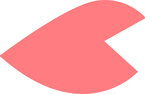 Petal Clipart Large - Cherry Blossom Petal Vector (600x392)