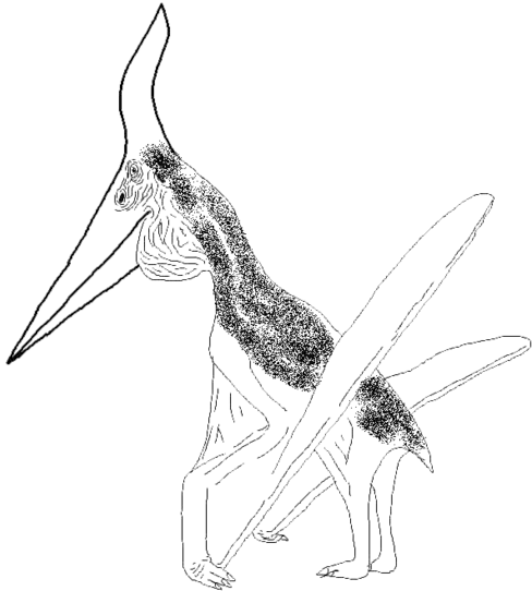 Pteranodon Male By Kingrexy On Deviantart - Pteranodon (600x610)
