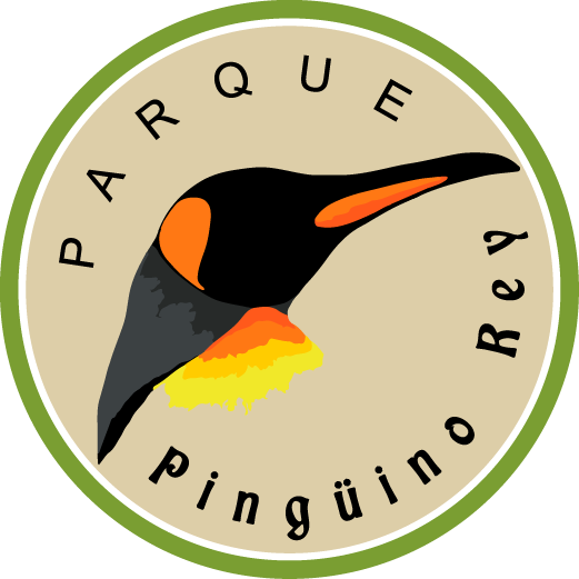 Book Your Visit - Pinguino Rey Chile (521x521)