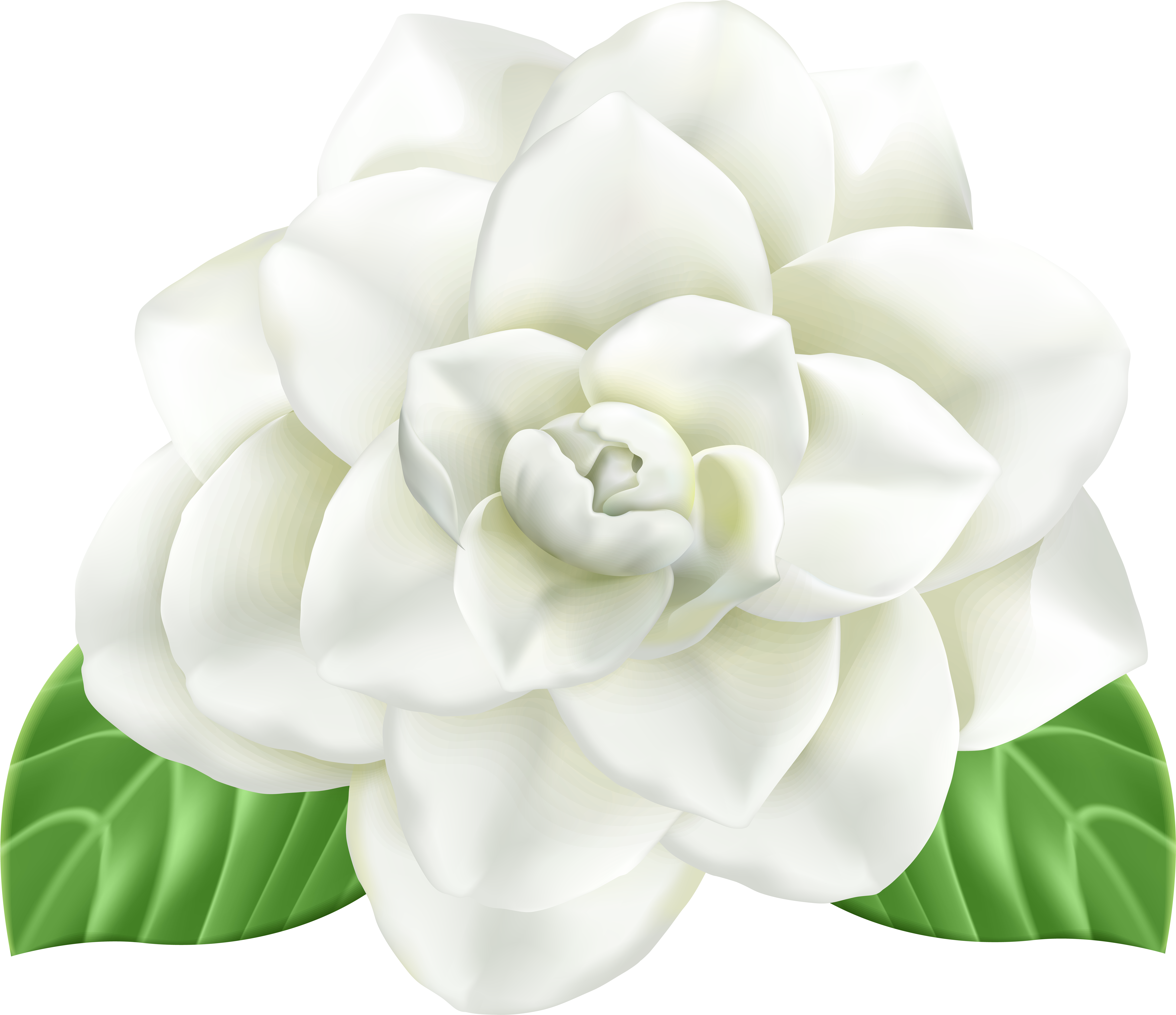 Flower Clip Art - Flower Clip Art (8000x6821)