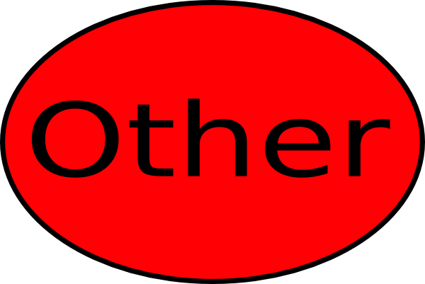 Other Label - Capi Airport (600x401)