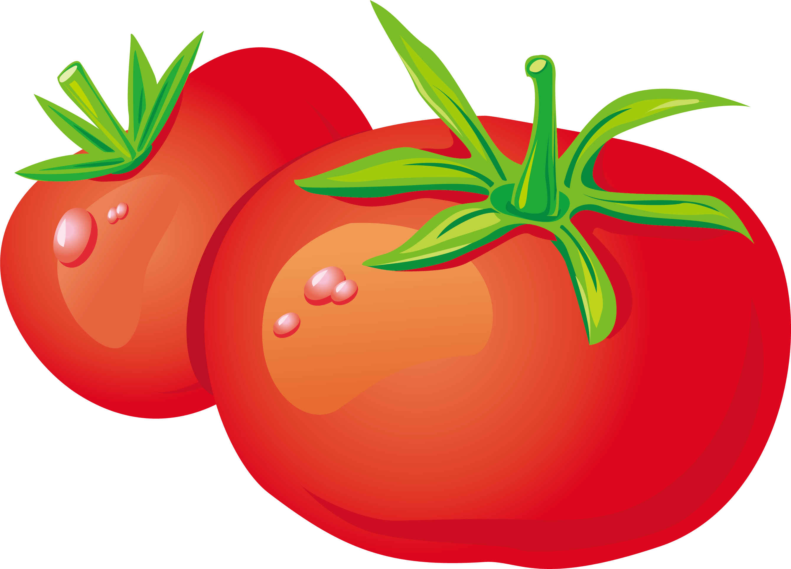Vegetable Zakuski Tomato Fruit - Cartoon Tomato Png (2679x1927)