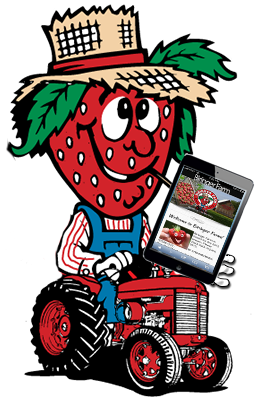 Biringer Farm, Arlington U-pick Berries, Daily M - Cartoon (323x410)
