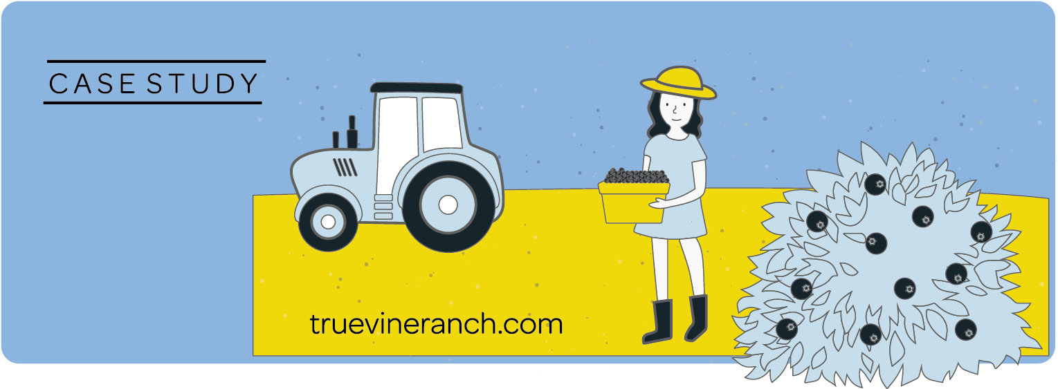 Case Study (1636x610)