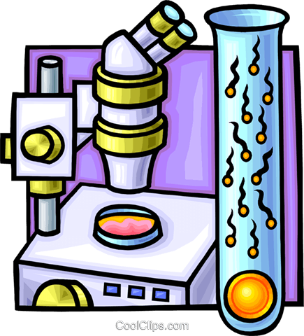 Artificial Insemination Royalty Free Vector Clip Art - Ramas De La Quimica Bioquimica (435x480)