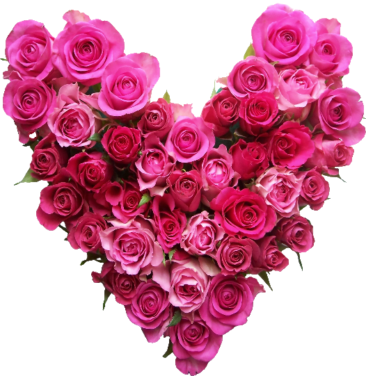 Valentine Heart Roses Png - Wicca Valentine's Day (526x541)