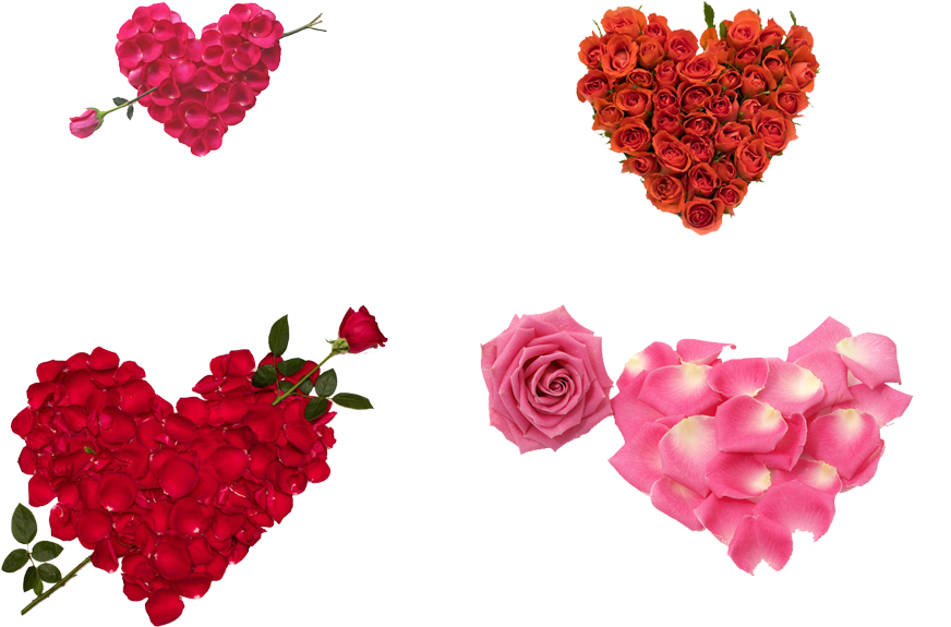 Valentines Day Sms Whatsapp Propose Day Wish - Happy Rose Day (1000x771)