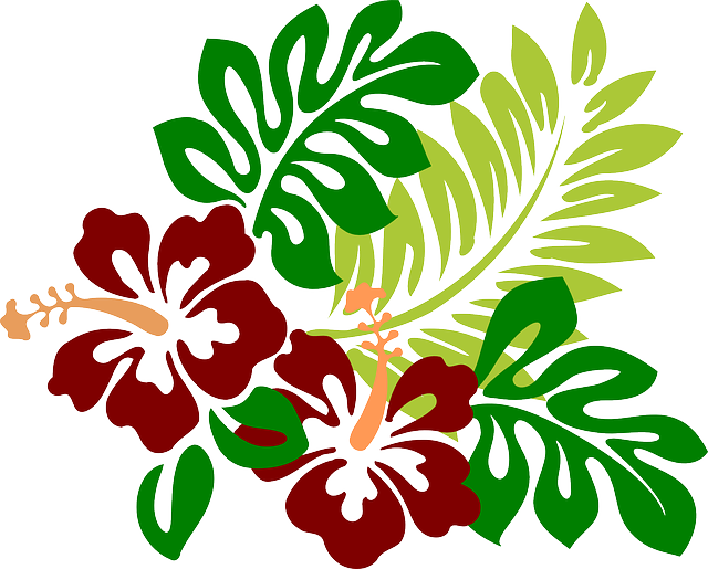 Michele Luminarias Em Pvc - Hawaiian Flower Png (640x515)