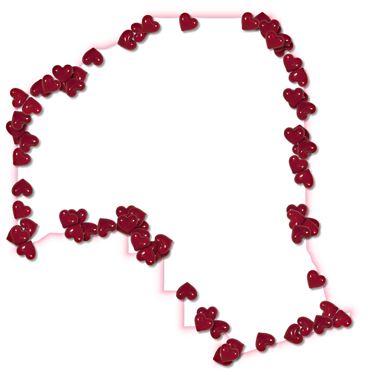 A Map Of Putnam With A Pink Glow Outline And Randomly - Floral Design (748x768)