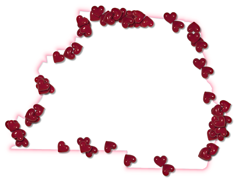 A Map Of Madison With A Pink Glow Outline And Randomly - Rose (768x584)