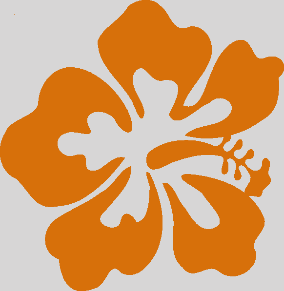 Clip Art Hawaiian Flower (582x597)