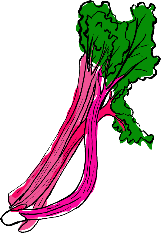 Rhubarb Cliparts - Rhubarb Cliparts (531x767)