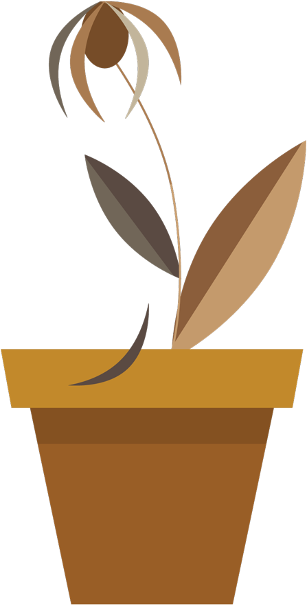 Web Design Dying Flower - Illustration (800x1600)